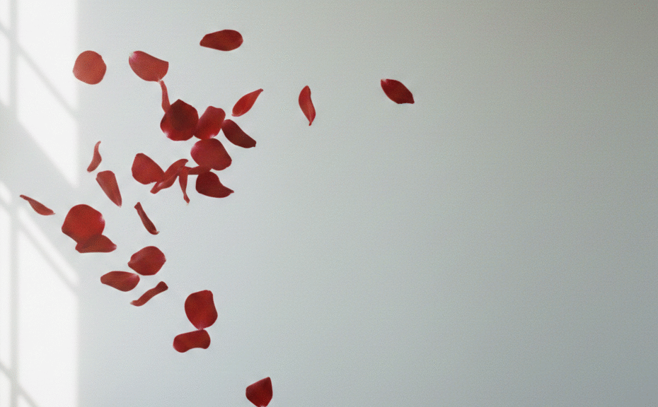 バラの花びら、舞う